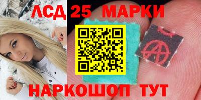кокс Можга