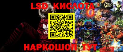 индика Моздок