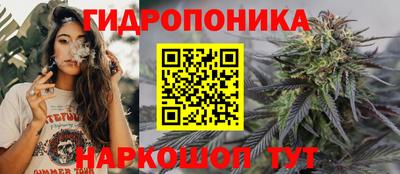 кокс Можга