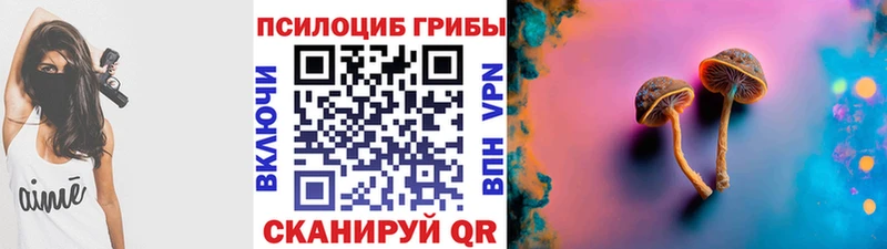 MEGA зеркало  где купить наркоту  Светлоград  Псилоцибиновые грибы Psilocybe 