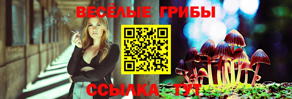 Светлоград  купить наркотики сайты  Вход с VPN  Галлюциногенные грибы Psilocybe  Галлюциногенные грибы MAGIC MUSHROOMS 